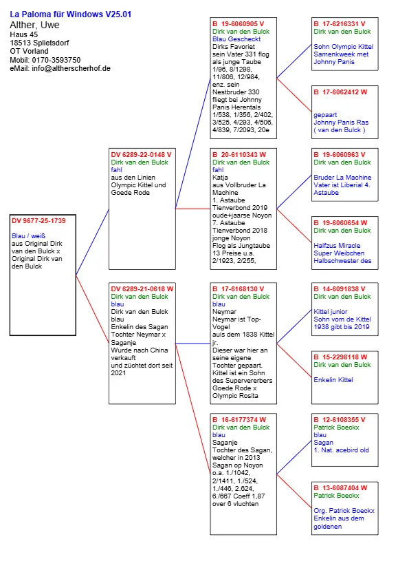 DV 9677-25-1739  Alther Uwe Olympic Kittel si La Machine 1. Astaube Tienverbond 2019 oude+jaarse Noyon 7. Astaube Tienverbond 2018 jonge Noyon, mama nepoata Sagan Patrick Boeckx