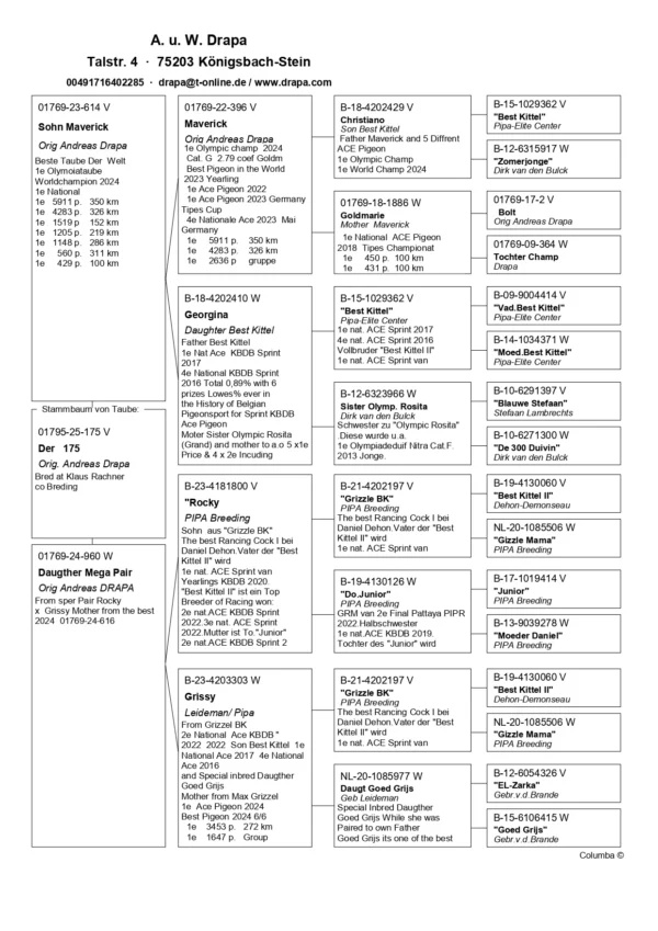DV 1769-25-175 M Andreas Drapa tatal este  fiu din Maverick cu Giorgiana iar mama este o dubla nepoata din Grizzle Best Kittel