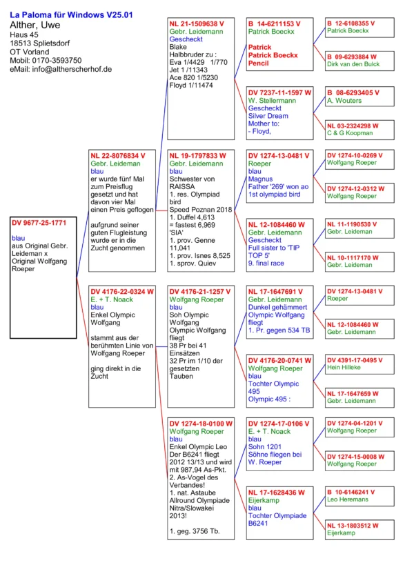 DV 9677-25-1771   Alther Uwe, tata original Gebr. Leideman nepot Patrick si Magnus super reproducatori, mama nepoata Olympic  Wolfgang 5 x locul 1