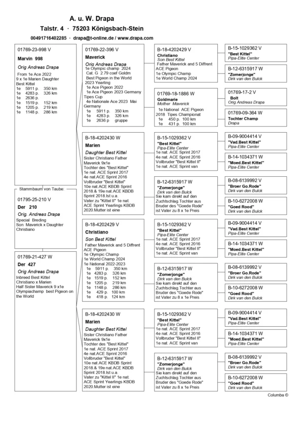 210 ped DV 1769-25-210 Mascul Andreas Drapa Dublu nepot Marian sora buna cu Christino tatal lui Maverick si in acelasi timp nepoata din Maverick si din Christiano