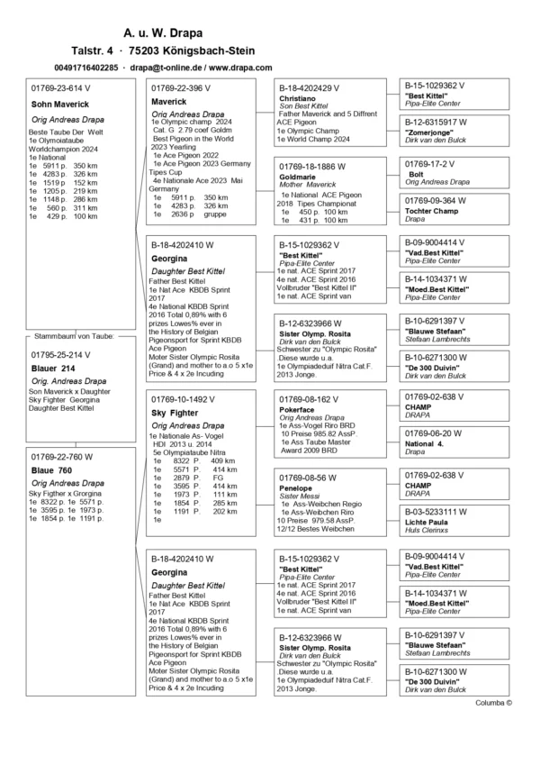 DV 1769-25-214 Mascul Andreas Drapa DUBLU nepot Gorgiana fiica BEST KITTEL,tata este un fiu din Maverick, mama fiica din SKY Fighter