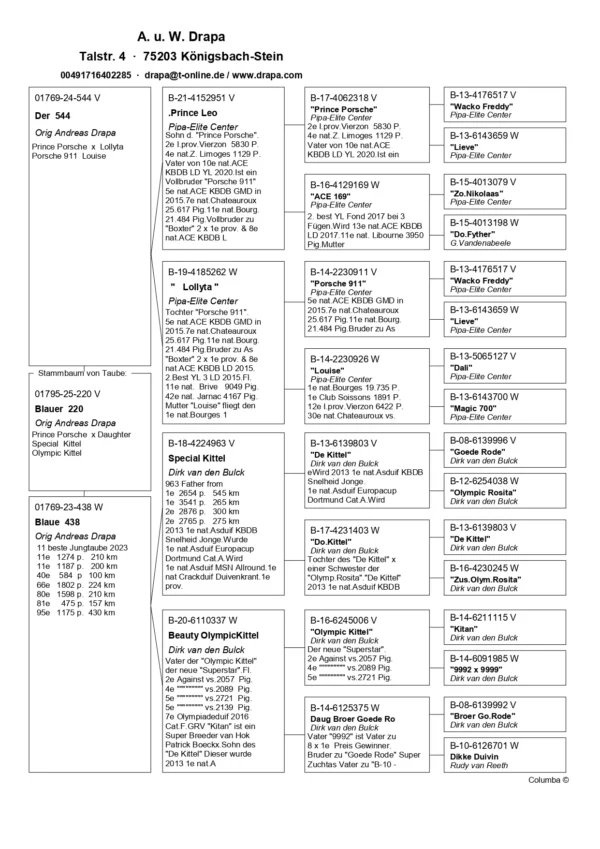 DV 1769-25-220 Mascul Andreas Drapa tata nepot Prince Porsche si Porsche 911, mama super zburatoare  nepoata Kittel Dirk van de Bulk si Olympic Kittel