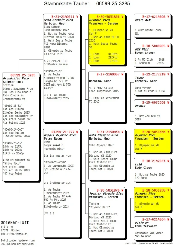 DV 06599-25-3285 Femela Spieker Loft nepoata consangvina OLYMPIC RICO 1 Olympic ACE YB CAT. F  1 Nat Ace KBDB YB Short Distance2020  1 WolrdBest Pigeon  1 Laon        2924p  1 Laon         274p  2 Laon        4451p  3 Chimay      3654p  3 Chimay       239p  8 Dizy        4982p  12 Vervins    5077p
