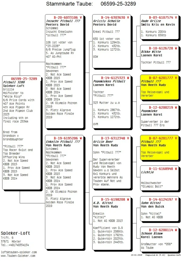 DV 6599-25-3289 Mascul Spieker Loft DUBLU stranepot PITBUL777 Rudy van Reeth