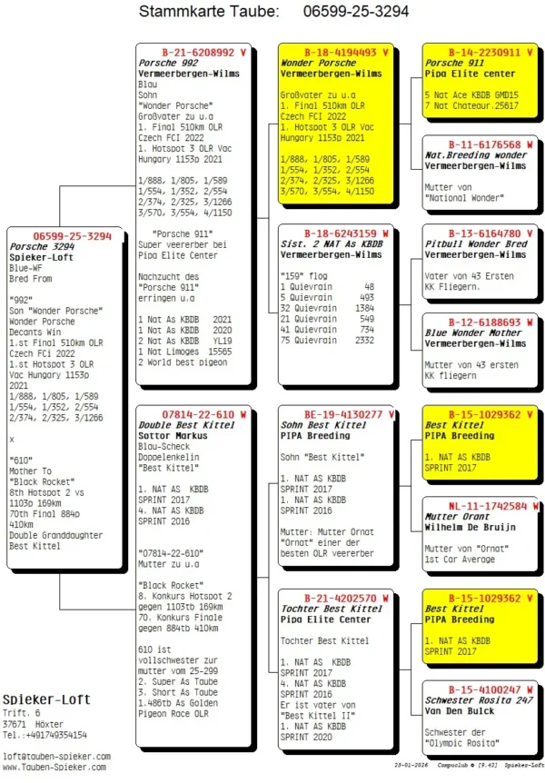 DV 6599-25-3292 Mascul Spieker Loft tatal este nepot Porsche 911 Pipa Elite Center, mama este dubla nepota Best Kittel