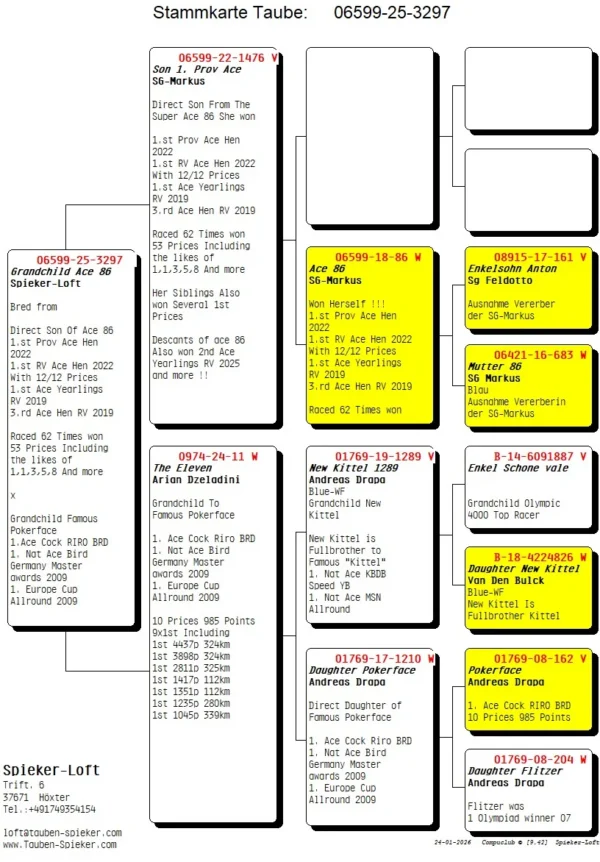 DV 6599-25-3297 Femela Spieker Loft, o combinatie intre Pokerface Andreas Drapa. Kittel Dirk van den Bulk si Anton Feldotto