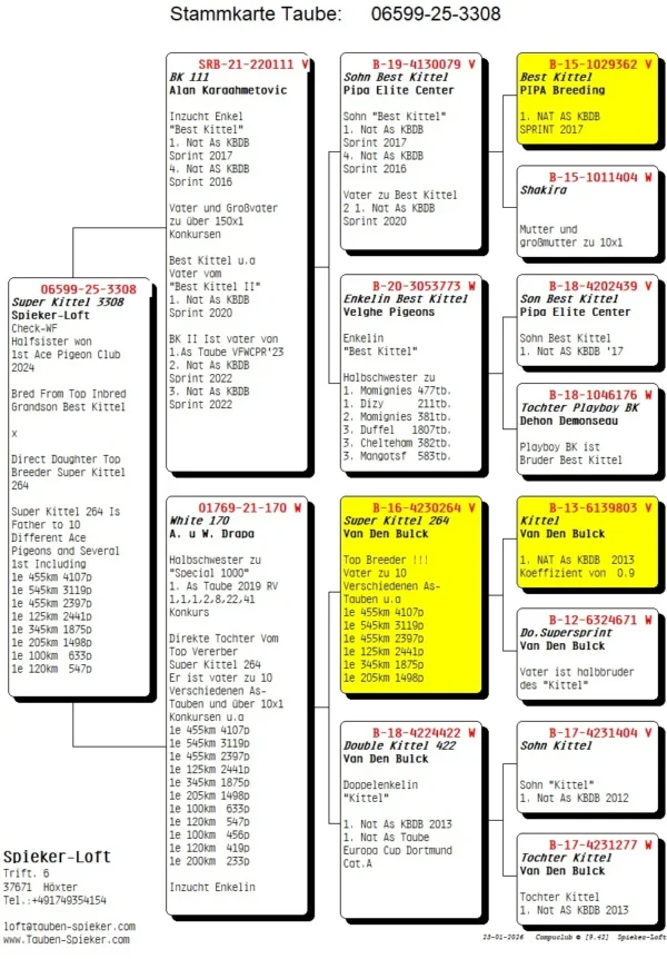 DV 6599-25-3308 Mascul Spieker Loft Tatal nepot Best Kittel, mama este fiica din "Super KITTEL 264" super reproducator in mai multe generatii, doi  descendenti au castical locul 2 si 3 in finala AFRICA PRO 2025