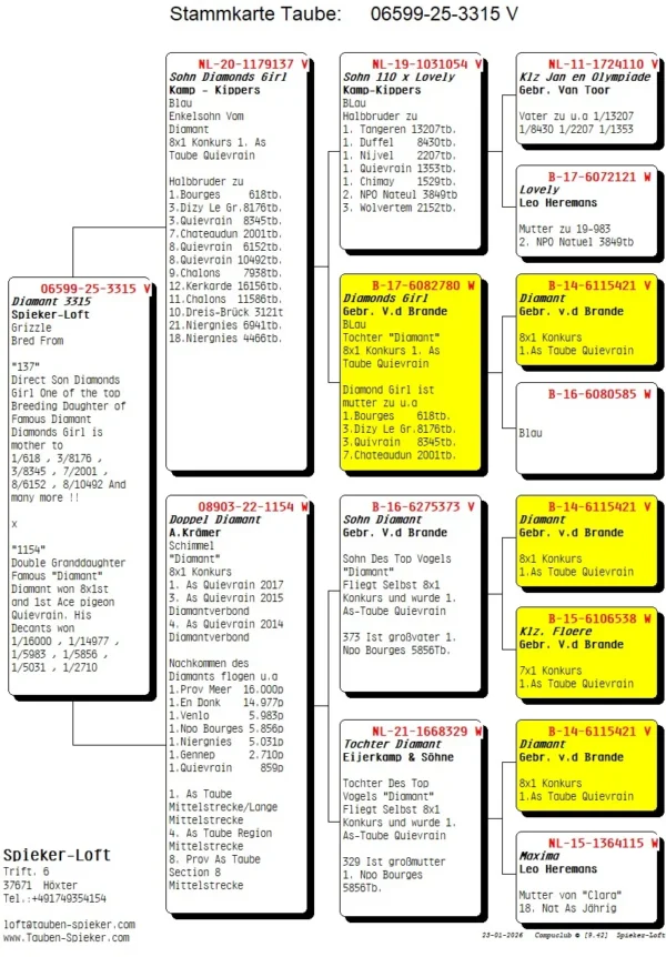 DV 6599-25-3315  Mascul Spieker Loft Trimpu stranepot Diamant Gebr. Van den Brande