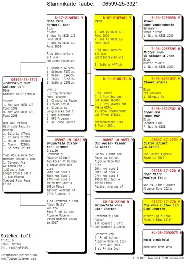 DV 6599-25-3321 Mascul Spieker Loft  Nepot Yvan Familia Herbots locul 1 National Demifond, mama este nepoata Gustav Klimt Steffel