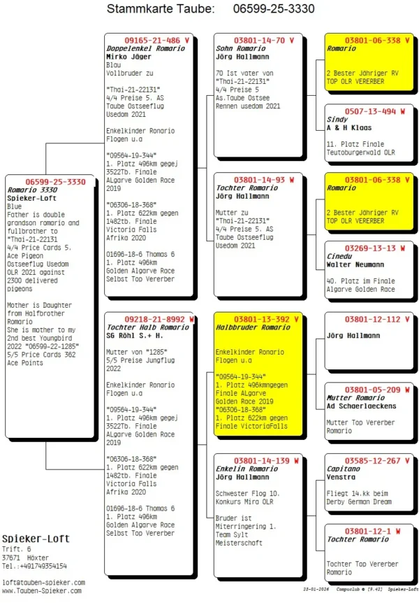 DV 6599-25-3330 Mascul Spieker Loft Consangvin Romario Jorg Hallmann