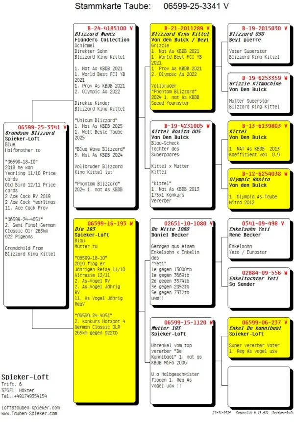 DV 06599-25-3341 Mascul Spieker Loft nepot din Blizzard King Kittel, 1.NAT ACE KBDB 2021 BEST & YOUNGB KBDB  ACE SINCE DE KITTEL  1. WORLD BP FCI YB'21  1. PROV ACE KBDB 2021  2.OLYMPIC ACE 2022  3. NOYON 2170p  3. NOYON 2062p  4. NOYON 3564p  4. NOYON 3266p  5. NOYON 3765p  10. NOYON 3452p