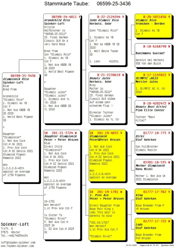 DV 6599-25-3436 M Spieker Loft Tatat este nepot Olympic Rico mama este fiica din Olympionik