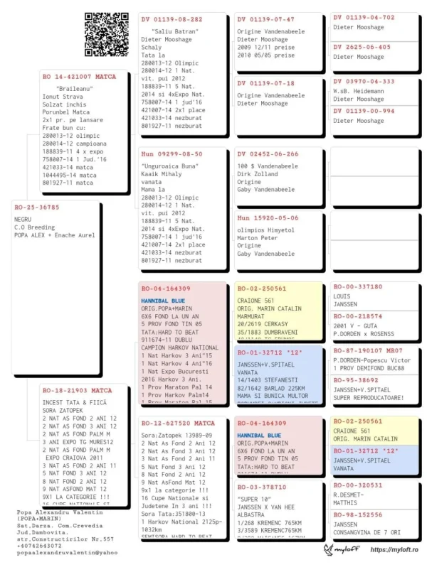 RO-25-36785 LIPSA TALON !!! C.O Breeding POPA ALEX + Enache Aurel nepo ZATOPEK  2 NAT AS FOND 2 ANI 12 2 NAT AS FOND 3 ANI 12 2 NAT AS FOND PALM M 3 ANI EXPO TG MURES12 2 NAT AS FOND PALM M  EXPO CRAIOVA 2011 3 NAT AS FOND 2 ANI 11 5 NAT FOND 3 ANI 12 8 NAT FOND 2 ANI 12 9 NAT ASFOND MAT 12