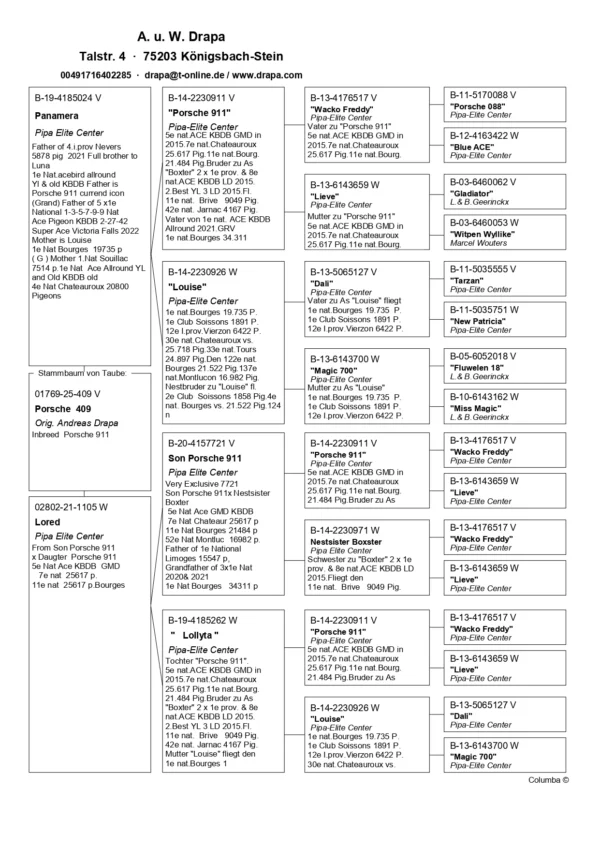 DV 1769-25-409 Mascul Andreas Drapa nepot Porsche 911 si Lousie super consangvin pe 911 Pipa Elite Center
