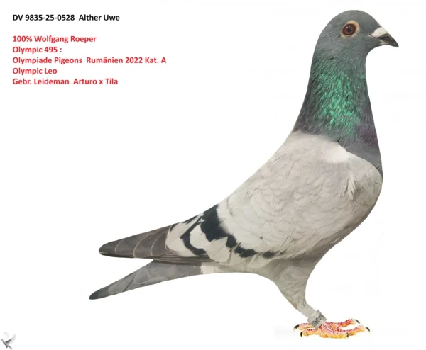 528 poza DV 9835-25-0528 Alther Uwe, tata nepot Artuo si Tila Fratii Leideman