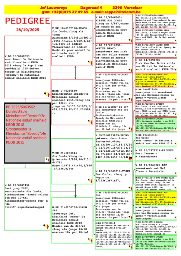 BE 2025/6063562 Femela Jef Lauwereys nepoata"Remco" 3e  Nationale asduif snelheid  KBDB 2018