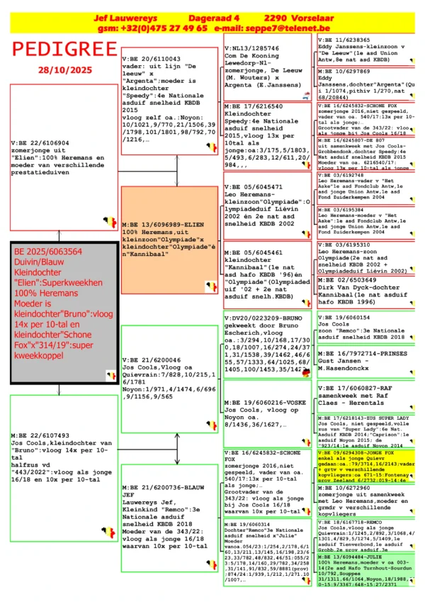 BE 2025/6063564 Femela Jef Lauwereys Speedy:4e Nationale  asduif snelheid  2015, "Remco"3e Nationale  asduif snelheid,  V:BE 03/6195310 Leo Heremans-zoon  Olympiade(2e nat asd  snelheid KBDB 2002 +  Olympiadeduif Liévin 2002)