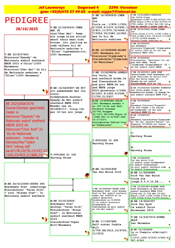 BE 2025/6063576 Jef Lauwereys  Mascul zburat in belgia 6/178,1  0/76,   13/107,   22 /169,   23/453,   31/886,  nepot Boeckmans Staf "Valen Dirk"  fiu din  "Blauwe Staf": 1e  Nationale asduif snelheid