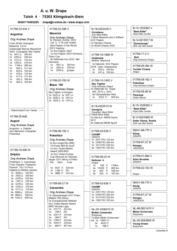 DV 1769-25-646 Femela Andreas Drapa Tatal este fiu din Maverick, mama este fiica din Pokerface si o foarte buna reproducatoare la randul ei!!!