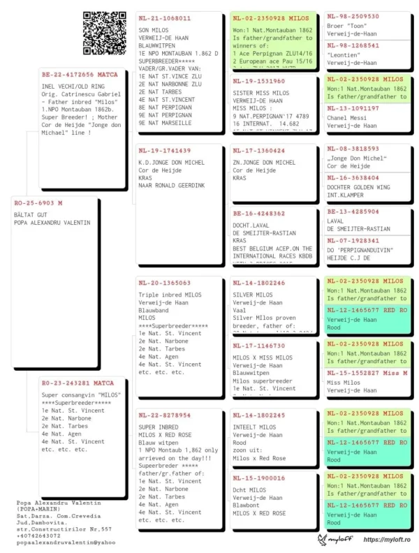 RO-25-6903 M POPA ALEXANDRU VALENTIN  nepot MILOS VERWEIJ-DE HAAN  1E NPO MONTAUBAN 1.862 D SUPERBREEDER***** VADER/GR.VADER VAN: 1E NAT ST.VINCE ZLU 2E NAT NARBONNE ZLU 2E NAT TARBES 4E NAT ST.VINCENT 8E NAT PERPIGNAN 9E NAT PERPIGNAN 9E NAT MARSEILLE