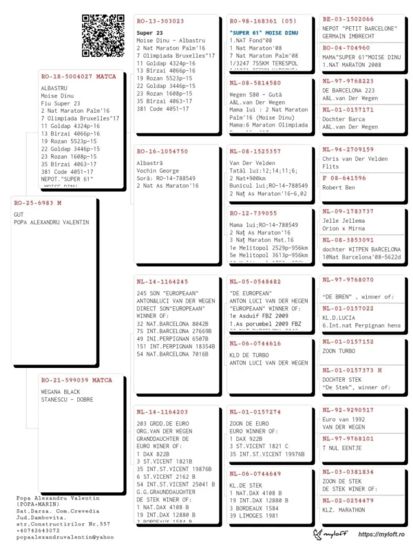 RO-25-6983 M POPA ALEXANDRU VALENTIN nepot  Super 23 Moise Dinu  2 Nat Maraton Palm'16 7 Olimpiada Bruxelles"17 11 Goldap 4324p-16 13 Bîrzai 4066p-16 19 Rozan 5523p-15 22 Goldap 3446p-15 23 Rozan 1608p-15 35 Bîrzai 4063-17 381 Code 4051-17