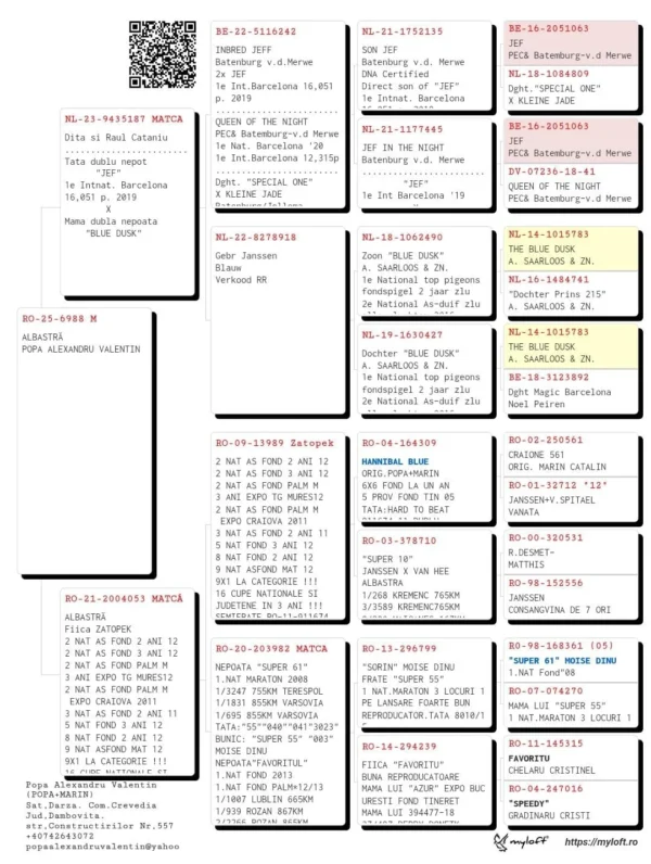 RO-25-6988 Mascul POPA ALEXANDRU VALENTIN nepot ZATOPEK 2 NAT AS FOND 2 ANI 12 2 NAT AS FOND 3 ANI 12 2 NAT AS FOND PALM M 3 ANI EXPO TG MURES12 2 NAT AS FOND PALM M  EXPO CRAIOVA 2011 3 NAT AS FOND 2 ANI 11 5 NAT FOND 3 ANI 12 8 NAT FOND 2 ANI 12 9 NAT ASFOND MAT 12 9X1 LA CATEGORIE !!! 16 CUPE NATIONALE SI JUDETENE IN 3 ANI !!!