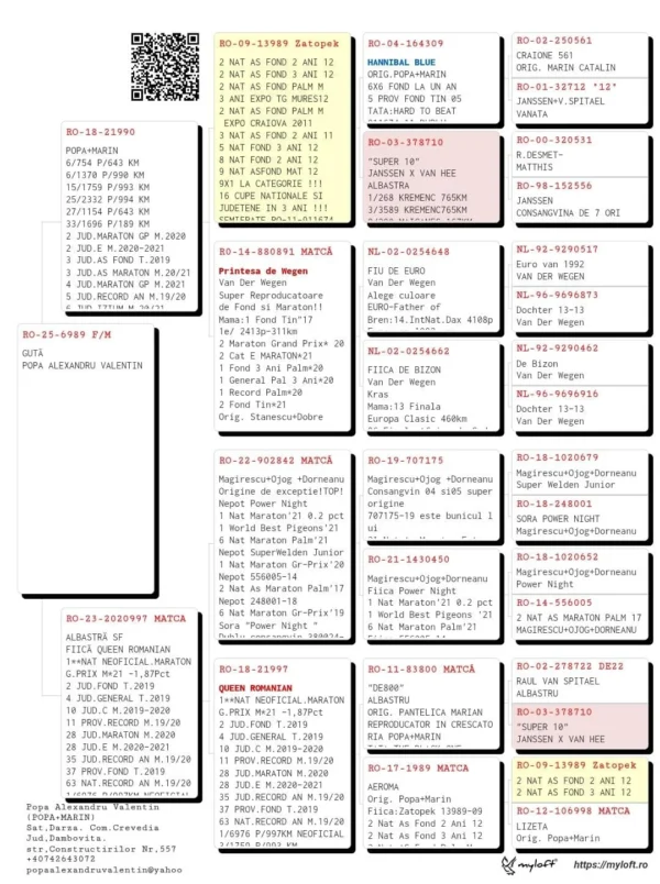 RO-25-6989 Femela POPA ALEXANDRU VALENTIN  Fiica 2 JUD.MARATON GP M.2020 2 JUD.E M.2020-2021 3 JUD.AS FOND T.2019 3 JUD.AS MARATON M.20/21 4 JUD.MARATON GP M.2021 5 JUD.RECORD AN M.19/20 6 JUD.IZIUM M.20/21 7 PROV.E M.20/21 8 PROV.MARATON GP M.2020 8 PROV.AS MARATON.20/21 8 JUD.FOND T.2019 8 JUD.GENERAL T.2019 8 JUD.AS MARATON M.2021 11 PROV.IZIUM M.20-21 14 JUD.AS MARATON M.2020 22 PROV.MARATON GP M.21 29 NAT.IZIUM M.2020-2021 30 PROV.AS FOND T.2019 35 JUD.C M.2019-2020 37 JUD.GENERAL M.2020 40 NAT.MARATON GP M.2020 45 NAT.E M.2020-2021