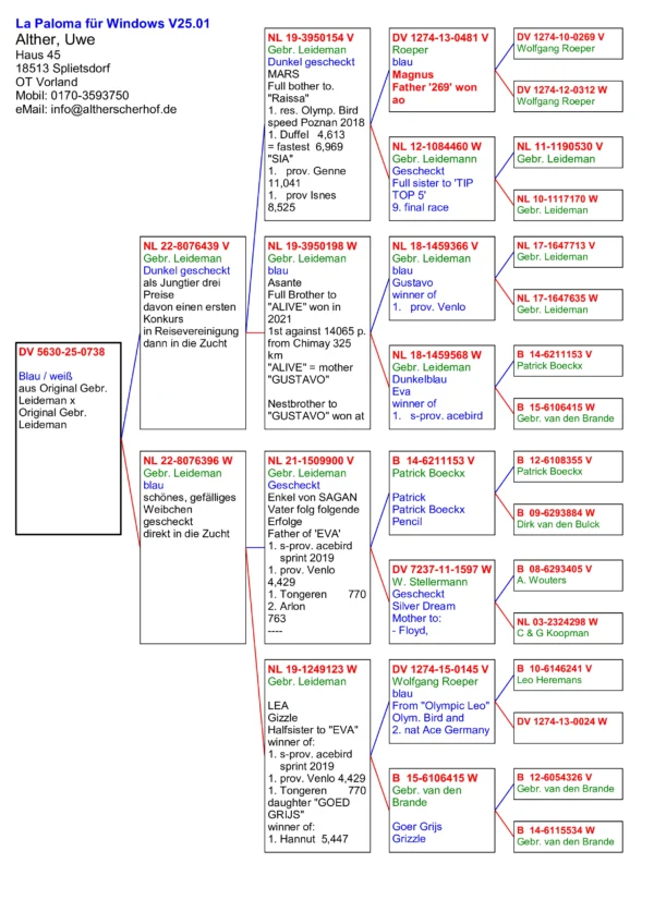 DV 5630-25-0738  Alther Uwe  100% Gebr.  Leideman mama nepoata  Goer Grijs Gebr. van den  Brande, "Olympic Leo" Olym. Bird and 2. nat Ace Germany