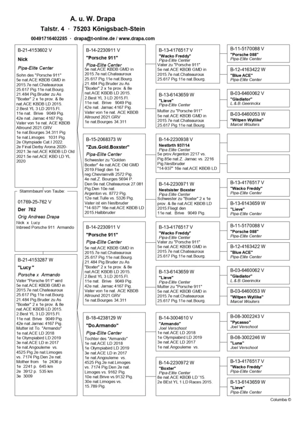 DV 1769-25-762 Mascul Andreas Drapa DUBLU nepot Porasche 911 Pipa Elite Center, mama este nepoata Armando Joel Verschoot