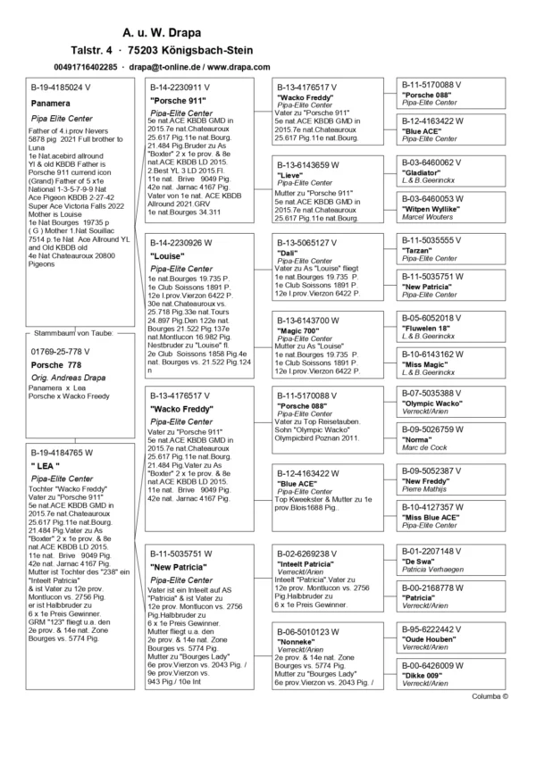 778 ped DV 1769-25-778 Mascul Andreas Drapa tata este Panamera fiu din Porsche 911 Pipa Elite Center, mama este semisora cu Porasche 911 fiica din Wacko Freddy