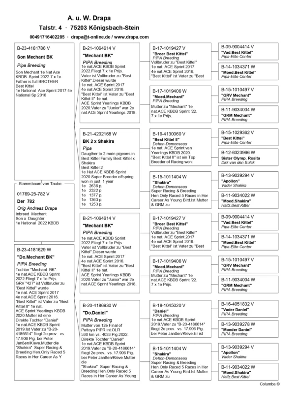 DV 1769-25-782 Mascul Andreas Drapa DUBLU nepot Mechant Best Kittel Pipa Breeding 1 nat Ace Speed KBDB 2022 7 x Locul 1