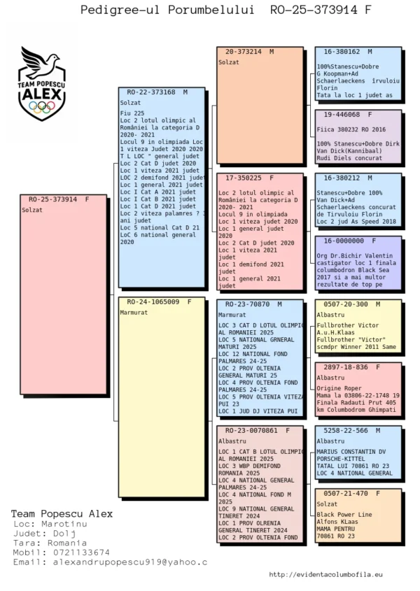 RO 25-373914 Femela Team Alex Popescu nepoata din 3 porumbei olimpici, Loucl 1 Cat B Lotul Olimpic 2025, locul 3 Cat D lotul Olimpic 2025, locyl 2 lotul Olimpic categoria D 2022