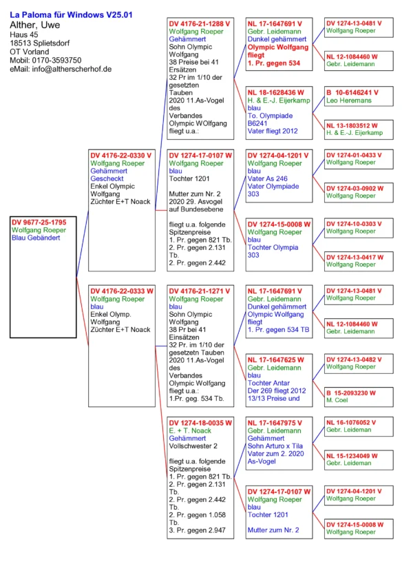 DV 9677-25-1795   Alther Uwe, consangvin din doi nepoti Olympic Wolfgang 5xlocul 1, mama are la baza porumbeii fratilo Leideman Arturo si Tila