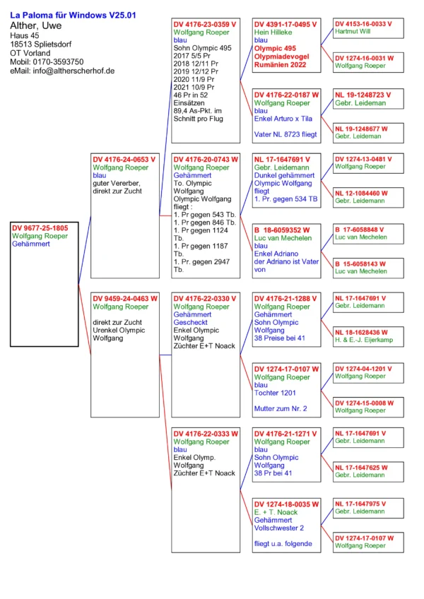 DV 9677-25-1805  Alther Uwe, super consangvin Olympic Wolfgang  fliegt : 1. Pr gegen 543 Tb. 1. Pr gegen 846 Tb. 1. Pr gegen 1124  Tb. 1. Pr gegen 1187  Tb. 1. Pr. gegen 2947