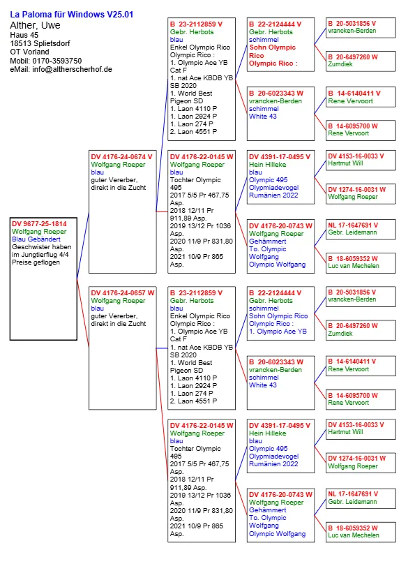 DV 9677-25-1814   Alther Uwe  Tatal stranepot Olympic Rico  Mama nepoata  Olympic Rico : 1. Olympic Ace YB Cat F 1. nat Ace KBDB YB SB 2020 1. World Best Pigeon SD 1. Laon 4110 P 1. Laon 2924 P 1. Laon 274 P 2. Laon 4551 P