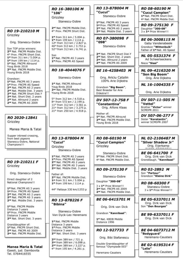RO 652149 2025 Mascul Tamas Dorin Nepot din Olympic Cristiano Lemnaru Cristian,mama este super zburatoare loc 3 Viteza judet nepoata din Cucul 004 Stanescu&Dobre