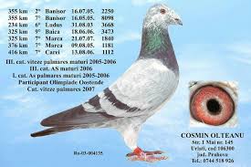 RO 652130 2025 Mascul Tamas Dorin Dublu stranepot Silver Lame  Lemmnaru Cristian