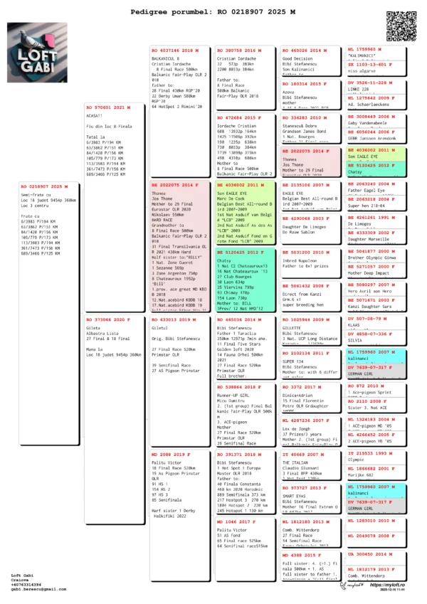 RO 0218907 2025 Mascul  Berescu Gabriel Semi-frate cu Loc 18 județ 9454p 360km Loc 3 centru  Frate cu 6/3983 P/194 KM 63/3862 P/151 KM 84/1420 P/156 KM