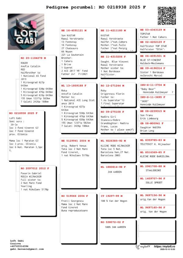 RO 0218938 2025 Femela Berescu Gabriel Semi sora :  39-le loc 3 fond tineret GJ loc 7 fond tineret  prov. Oltenia  Mama loc 1 Maraton GJ loc 3 prov. Oltenia loc 6 Nat. Maraton 3,5pct.