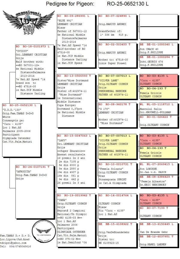 RO 652130 2025 Mascul Tamas Dorin Dublu stranepot Silver Lame  Lemmnaru Cristian