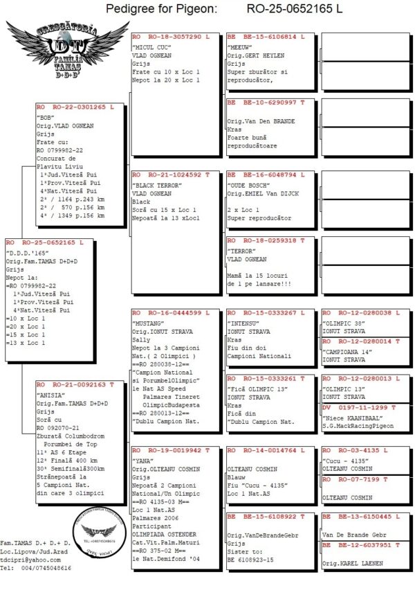 RO 652165 2025 Mascul Tamas Dorin Tatat este frate cu locul 4 national Viteza Pui 2022