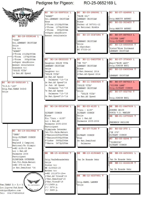RO 652169 2025 Mascu l Tamas Dorin mama orig. Cosmin Olteanu , van de brande fiica din super reproducatoarea 922
