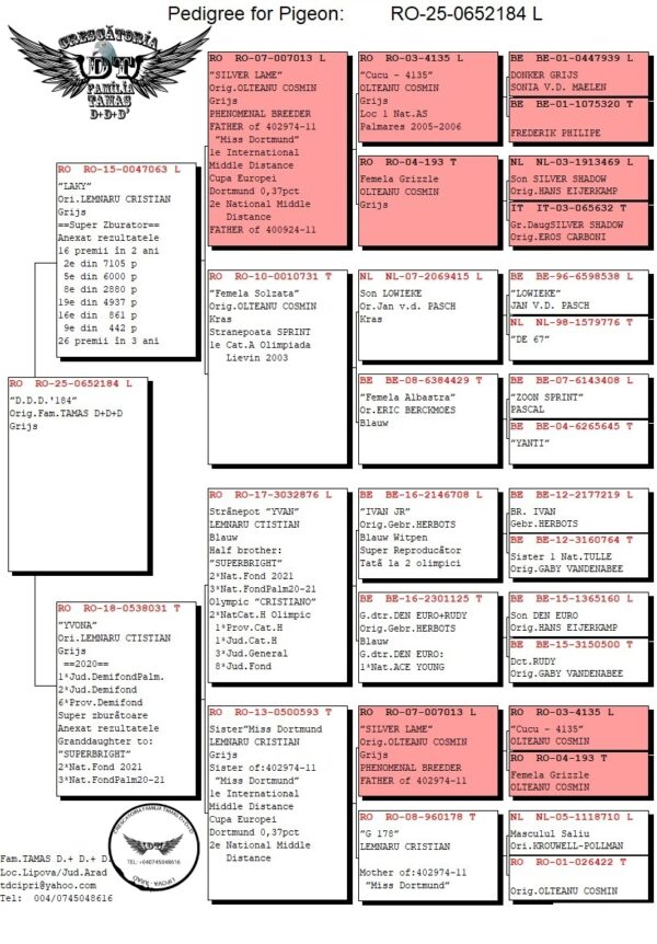 RO 652184 2025 Mascul Tamas Dorin Fiu din Luky si  Yvona super zburatori !!!