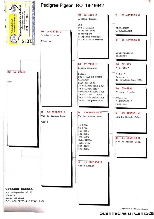 RO 652169 2025 Mascu l Tamas Dorin mama orig. Cosmin Olteanu , van de brande fiica din super reproducatoarea 922