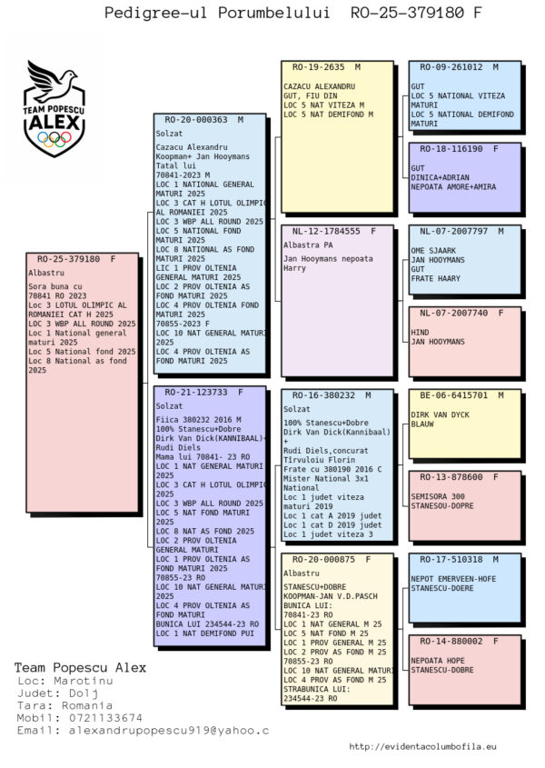 RO 25-379180 Femela TEam Alex Popescu sora buna cu locul 1 National General Maturi, locul 3 lotul olimpic Categoria H 2025, locul 3 WBP ALL Round 2025, locul 5 national Fond 2025, locul 8 national As Fond 2025