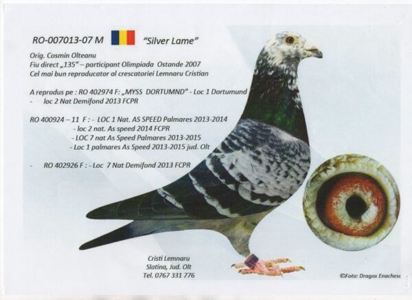 RO 652130 2025 Mascul Tamas Dorin Dublu stranepot Silver Lame  Lemmnaru Cristian