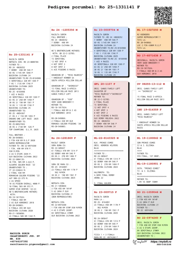 RO 1331141 2025 Femela Racolta Sorin Tatat super reproducator nepot din Koendersul si "638"