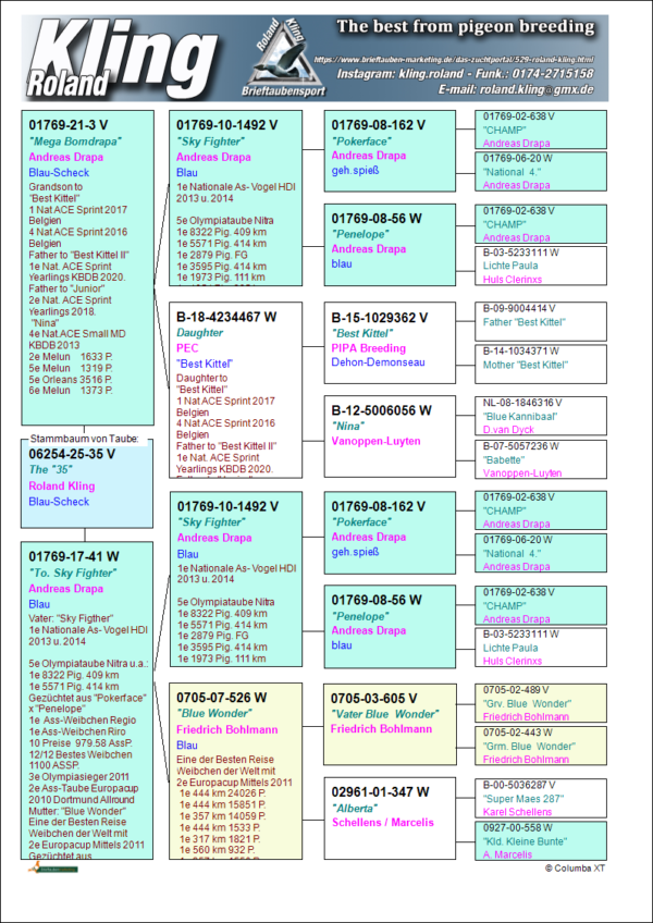 DV 6254-25-35 Mascul Roland Klind Dublu nepot Sky Fighter Andreas Drapa 1 Nat Ace Pigeon