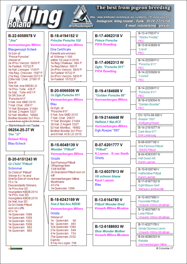 DV 6254-25-37 Femela  Roland Kling Mama este nepoata Pitbull777, tatal este consangvin Wacko Freddy Pipa Elite Center