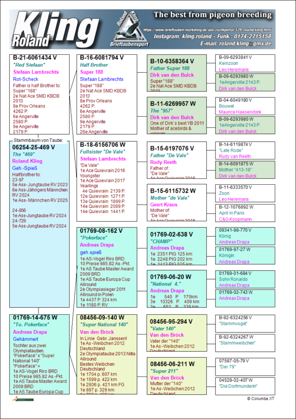 DV 6254-25-469 MAscul Roland Kling Tata Stefan Lambrecht nepot De Vale 1 Ace Quevrain, mama este fiica din Pokerface Andreas Drapa